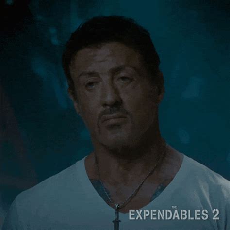 sylvester stallone gif|More.